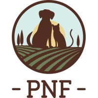 PNF Chews logo - Similar company to Dimashq Ltd