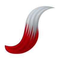 dieSilberfüchse logo - Similar company to Wm Consulting (Tas)
