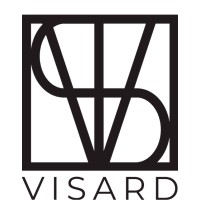 Visard Org logo - Similar company to Kartavya