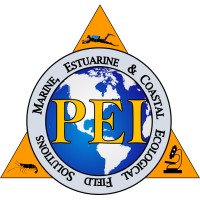 Pinnacle Ecological, Inc. logo - Similar company to Ecological Service Partners