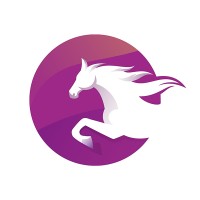 WhiteHorse Consultants logo - Similar company to Direct Data Squad