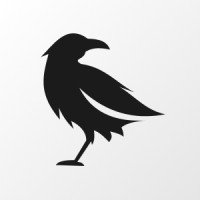 FlowRaven logo - Similar company to Isomer Studio