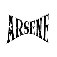 ArseneWorldWide logo - Similar company to Technicbox