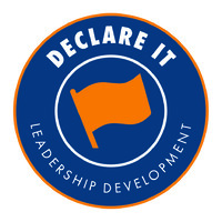 DECLARE IT! logo - Similar company to Nimblshift Consulting