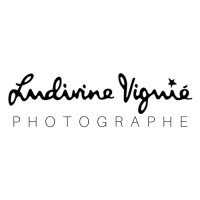 Ludivine Viguié Studio logo - Similar company to Studio D'Albenas