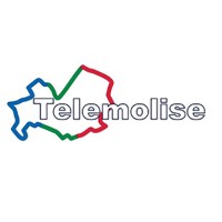TELEMOLISE logo - Similar company to Bold Mss