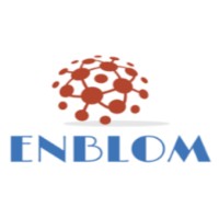 ENBLOM LTD logo - Similar company to Max Speed