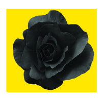 Goddess Advertising Pvt. Ltd. logo - Similar company to Goddess Advertising