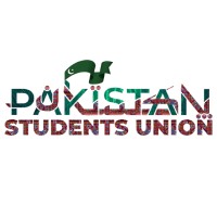 The Pakistani Foundation