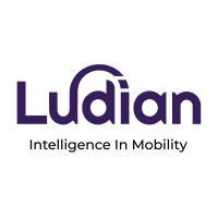 Ludian logo - Similar company to Ite Nevada Section