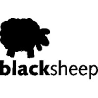 Blacksheep Display logo - Similar company to Blacksheep Ni Ltd