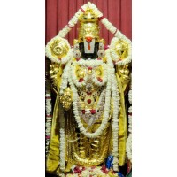 Sri Vijaya Venakateshwara Tirupati Balaji Dhaam logo - Similar company to Upaca Gurukul
