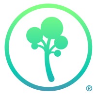 JOSE TENORIO STUDIO logo - Similar company to Ideas Sueltas Lab