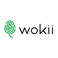 wokii news logo - Similar company to Runzy App