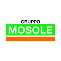 MOSOLE S.P.A. logo - Similar company to Hte Srl