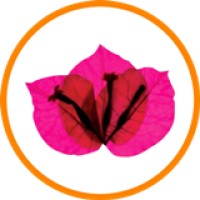 NJOB logo - Similar company to Hsn E Services