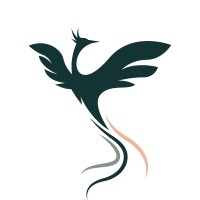 VisionAriser logo - Similar company to Studio Mesh