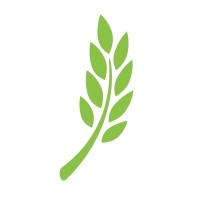 The Whole Wheat Post logo - Similar company to Maize Milling Machine, Wheat Flour Mill Machine, Silo, Steel Structure Workshop,