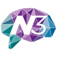 N3 Executive logo - Similar company to Synergy Solutions