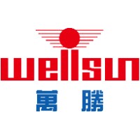 Zhejiang Wellsun Intelligent Technology Co., Ltd. logo - Similar company to Inhegrid Co., Ltd.