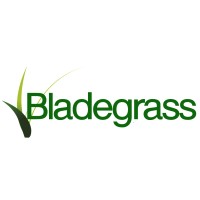 Bladegrass Technologies logo - Similar company to Onesystem Technologies Inc.