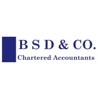 B S D & Co logo - Similar company to Nhrg, Inc.