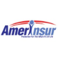 Amerinsur, Llc