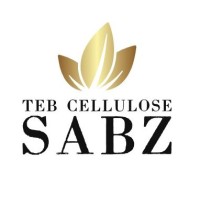 Teb Cellulose Company logo - Similar company to Nasg Teb Keyhan