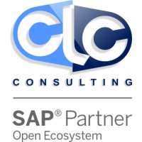 CLC Consulting S.A.S logo - Similar company to One Bit Solution Limited
