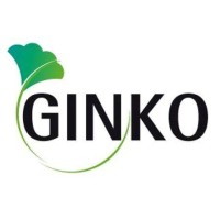 GINKO logo - Similar company to Digistor.Pk
