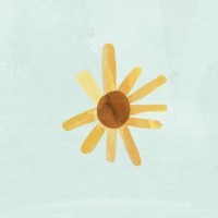 Shared Story Collective