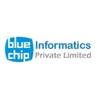 Blue Chip Informatics Pvt. Ltd. logo - Similar company to Sim Technologies