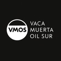 VMOS logo - Similar company to Cmp Control Documental