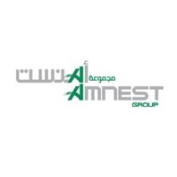 Amnest Group logo - Similar company to Saudi Design Group