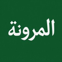 المرونة logo - Similar company to Lstx