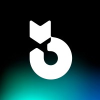 Brandmoshai logo - Similar company to Uddoktapay