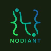 Nodiant logo - Similar company to Choose Your Mindset