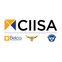 Grupo CIISA logo - Similar company to Coopemontecillos
