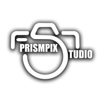 Prismpix Studio logo - Similar company to Green Flame Studio