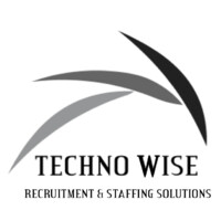 Techno Wise - Recruitment Solutions logo - Similar company to Technowis