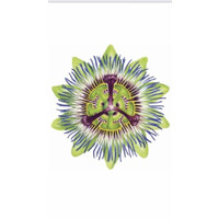 Sans Zorg logo - Similar company to Present Zorg