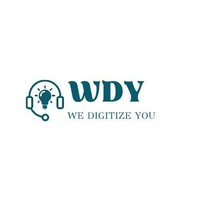 WDY Marketing LLC logo - Similar company to Modernize My Site