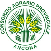 Consorzio Agrario di Ancona logo - Similar company to Cap Nord Ovest - Consorzio Agrario Delle Province Del Nord Ovest