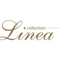 Linea logo - Similar company to Micron Works