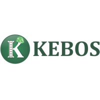 Kebos Detectores de Gás logo - Similar company to Zupan - Servos De Embreagem