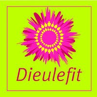 Ville de Dieulefit logo - Similar company to Dieulefit Santé
