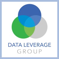 Data Leverage Group logo - Similar company to Data & Analytics Llc