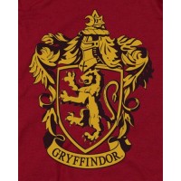 IT Trainning logo - Similar company to It U Can