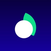 Native Conseil | Agence de Marketing Digital logo - Similar company to Delta Data