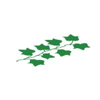 Neo Ivy Capital logo - Similar company to Amitis